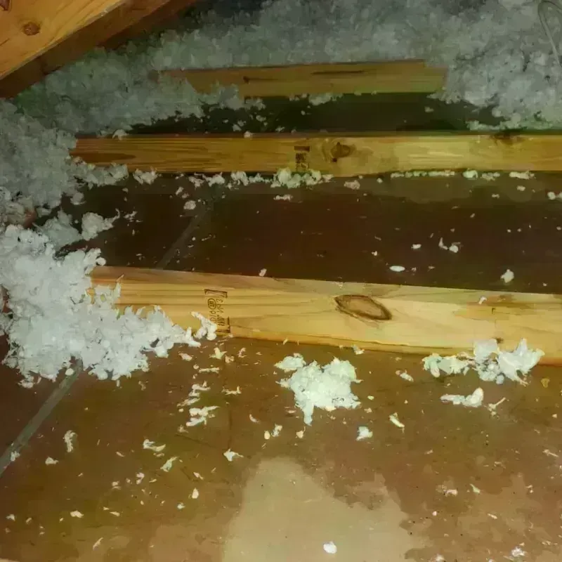 Attic Water Damage in Gunbarrel, CO